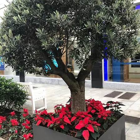 Contemporaneo Y Centrico Appartement Comarca de Vigo