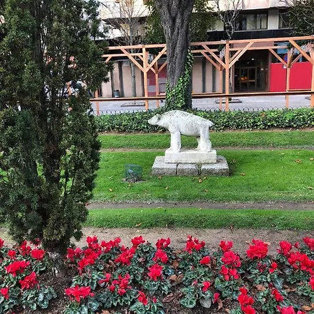 Contemporaneo Y Centrico Vigo