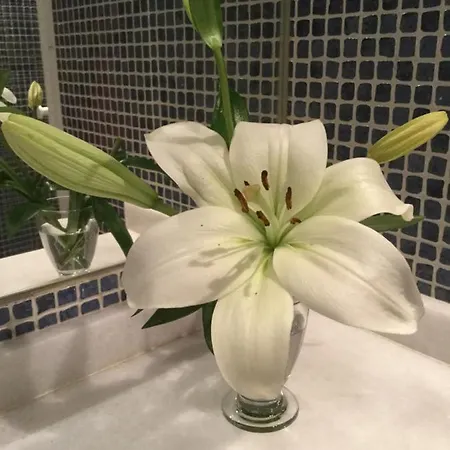 Appartement Contemporaneo Y Centrico