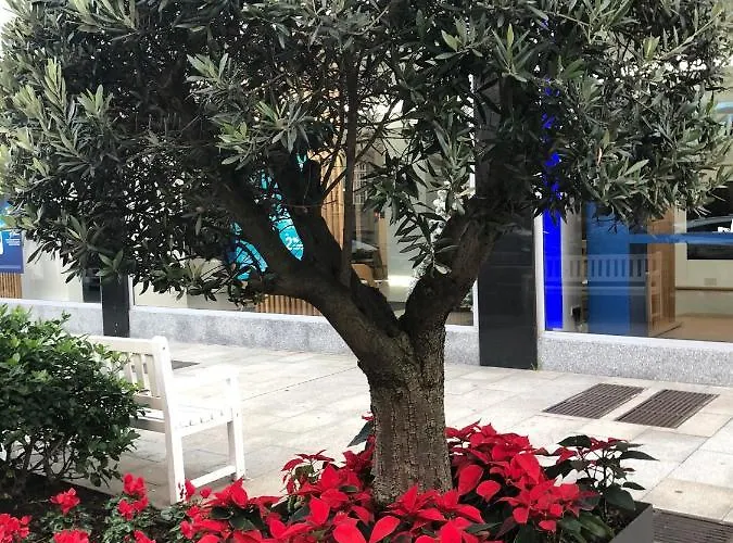 Contemporaneo Y Centrico Daire Vigo