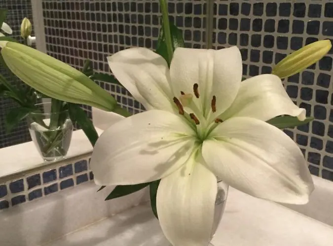 Daire Contemporaneo Y Centrico